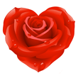 bigrose_heart