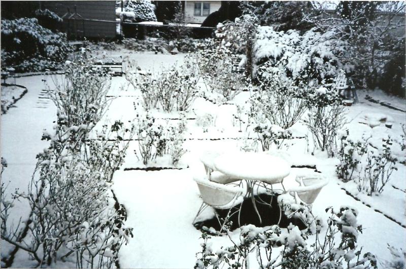 LM Garden in Winter